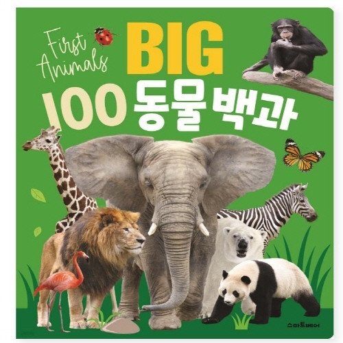 [도서-면세] 예림당 - 스마트베어 BIG 100 동물백과