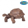 [피규어]파포50161-갈라파고스 거북이